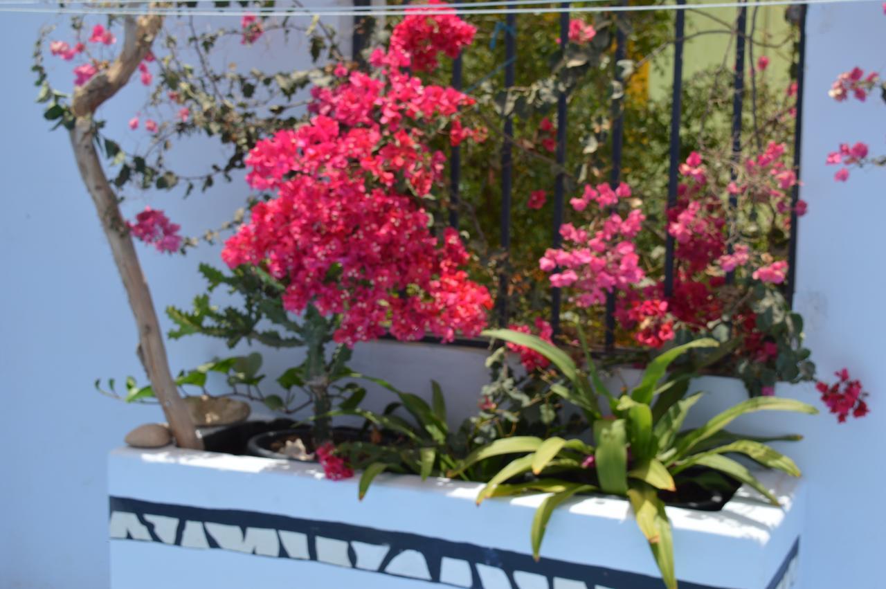 Yacht Club Sal Bed & Breakfast Palmeira Exterior photo